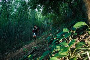 BIB: 
                            <button type="button" onclick="openModal(28124814)" class="btn btn-primary btn-sm float-right btn-popup" data-toggle="modal" data-target=".modal-high-quality">
                        <i class="fas fa-shopping-cart"></i> Add to Cart
                    </button>
                                            <button type="button" onclick="isThisMe(28124814, true)" class="btn btn-success btn-sm float-right btn-popup btn-isme hidden" data-toggle="tooltip" data-placement="bottom" title="นี่คือรูปของคุณใช่ไหม คลิกที่นี่เพื่อเอาเข้าอัลบั้ม">
                        <i class="fas fa-plus"></i> Add to album
                    </button>
                    <button type="button" onclick="isThisMe(28124814, false)" class="btn btn-warning btn-sm float-right btn-popup btn-isnotme hidden">
                        <i class="fas fa-ban"></i> Remove from album
                    </button>